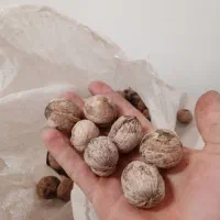 فروش گردو کیلو و هزاری|خوردنی و آشامیدنی|سروآباد, |دیوار