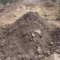کود حیوانی گاوی و گوسفندی