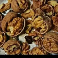 گردو لشگری توسرکان درجه یک