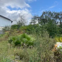 زمین ۲۴۰ متری مسکونی منطقه چابکسر