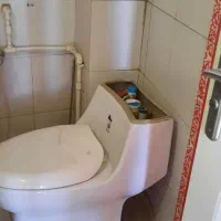 فرنگی و روشویی سالم