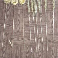 شاخه گل طرح گندم و طرح گل