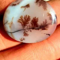 نگین شجر و انگشتر باباقوری|جواهرات|اقبالیه, |دیوار