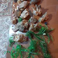 اکواریوم ۱۲۰ سانتی|ماهی|همدان, |دیوار