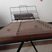 سنتور طاووس دومهر