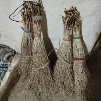 جارو محلی