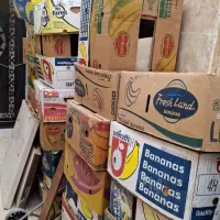 کارتون موزی