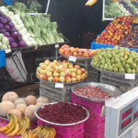 میوه فروشی|استخدام خدمات فروشگاه و رستوران|رشت, باهنر|دیوار
