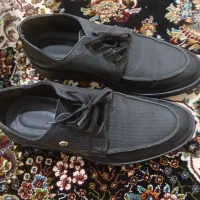 ی جفت کفش مردونه