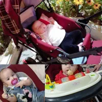 سرویس کالسکه و کریر و روروئک