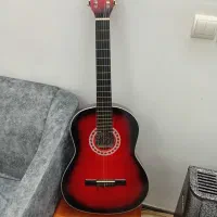 گیتار فاکس امریکایی