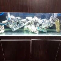 اکواریوم ۱.۵ متری