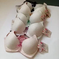 لباس زیر زنانه|لباس|لاهیجان, گلستان|دیوار