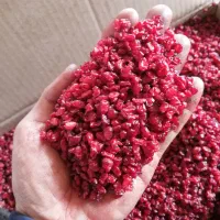 زرشک امسالی (پخش عمده)|عمده‌فروشی|قائن, |دیوار