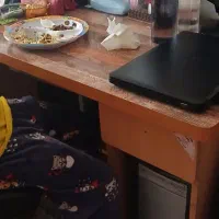 میز کامپیوتر و تحریر