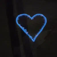 کفتر طوقی نر فروشی