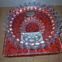 ظروف پذیرایی