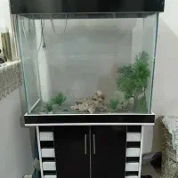 آکواریوم درحد