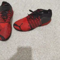 کفش سالنی کاملاً نو|کیف، کفش، کمربند|ارومیه, |دیوار