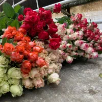 نیروی کار|استخدام صنعتی، فنی، مهندسی|نجف‌آباد, حومه نجف آباد|دیوار