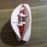 اکسسوری وبدلیجات|بدلیجات|نسیم‌شهر, |دیوار