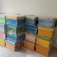 کندو زنبور عسل