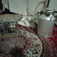 گلاب گیر|عمده‌فروشی|کنگاور, |دیوار