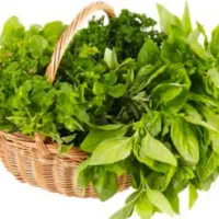 ضایعات سبزی برای دام