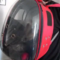 کیف حمل گربه و سگ