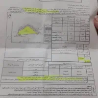 فروش سوئیت ۴۹۴ متری همکف