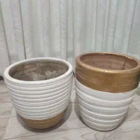 ۳عدد گلدان سفالی|گل و گیاه طبیعی|رشت, شهریاران|دیوار