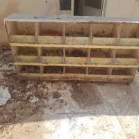 جفتگاه کبوتر دارای ۱۵ لانه