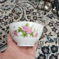 سس خوری و نمکپاش آرکوپال