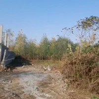 زمین مسکونی|فروش زمین و ملک کلنگی|سیاهکل, |دیوار