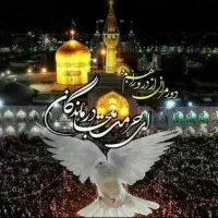 تور ریلی هوایی/زیارتی مشهد/تفریحی کیش قشم/اقساطی