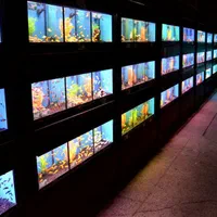 ماهی و آکواریوم برکه (پیروزی 21)