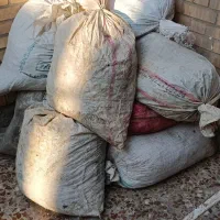 سلام ده گونی کود پرنده کفتر تمیز