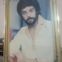 قاب عکس خواننده|تابلو، نقاشی، عکس|اصفهان, بوزان|دیوار