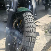 بندا ناپلئون سبز