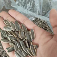 تخم آفتابگردان s400|خوردنی و آشامیدنی|شاهینشهر, گزبرخوار|دیوار