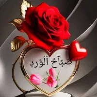 فروش باجوش،سعمران،دیری