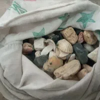 سنگ و صدف|ماهی|قم, خاکفرج|دیوار