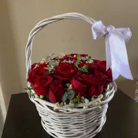 گل رز|گل و گیاه طبیعی|تهران, دردشت|دیوار