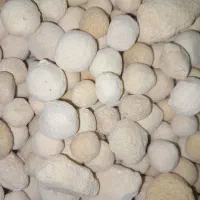 کشک لوبیا ماش|خوردنی و آشامیدنی|هرسین, |دیوار