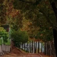 زمین مسکونی زینب ابادخان ببین