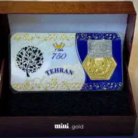 سکه پارسیان 400سوت