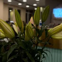 160متر/3اتاق/مناسب سالن زیبایی/خ ملک