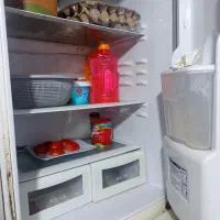 یخچال فریزر|یخچال و فریزر|میناب, |دیوار