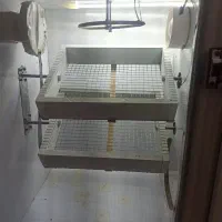 دستگاه جوجه کشی تمام اتوماتیک 144 تایی|لوازم جانبی حیوانات|دلوار, |دیوار