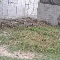 فروش-زمین-60-متری-نسقی-در-پیام-نور-بیانی-توشیبا